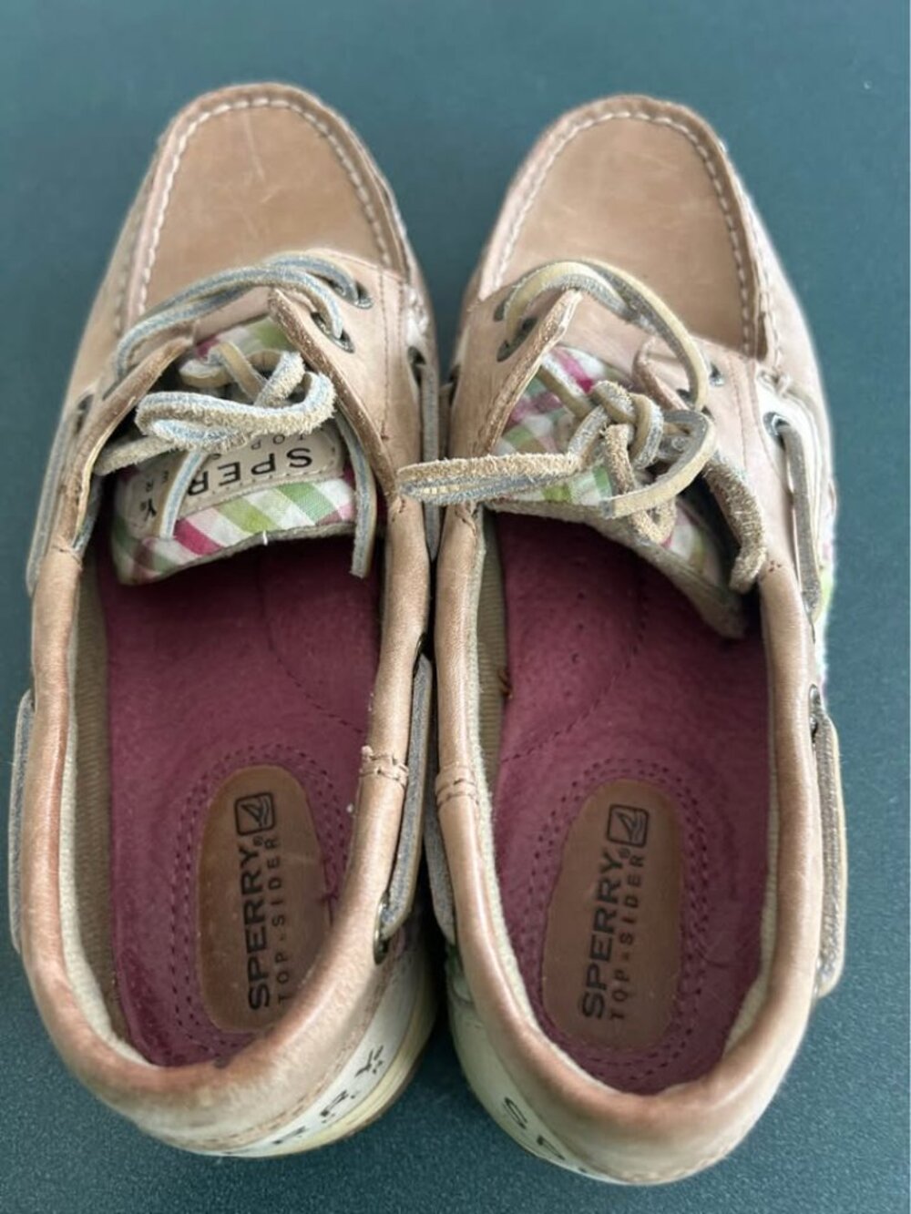 Sperry 'picnic'